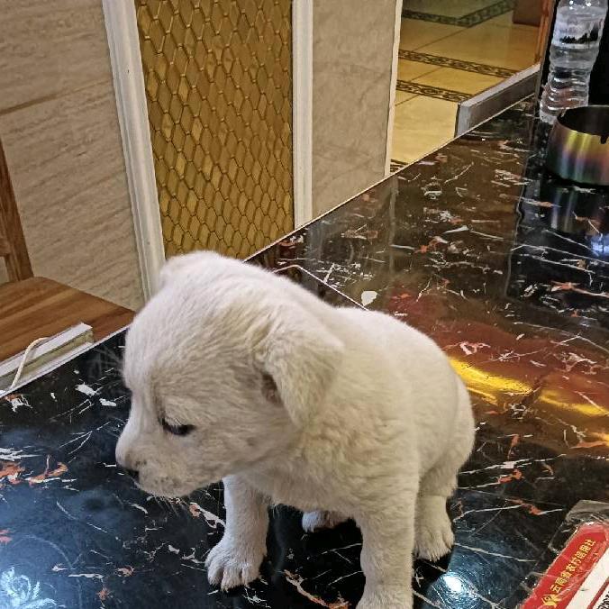 邂逅
