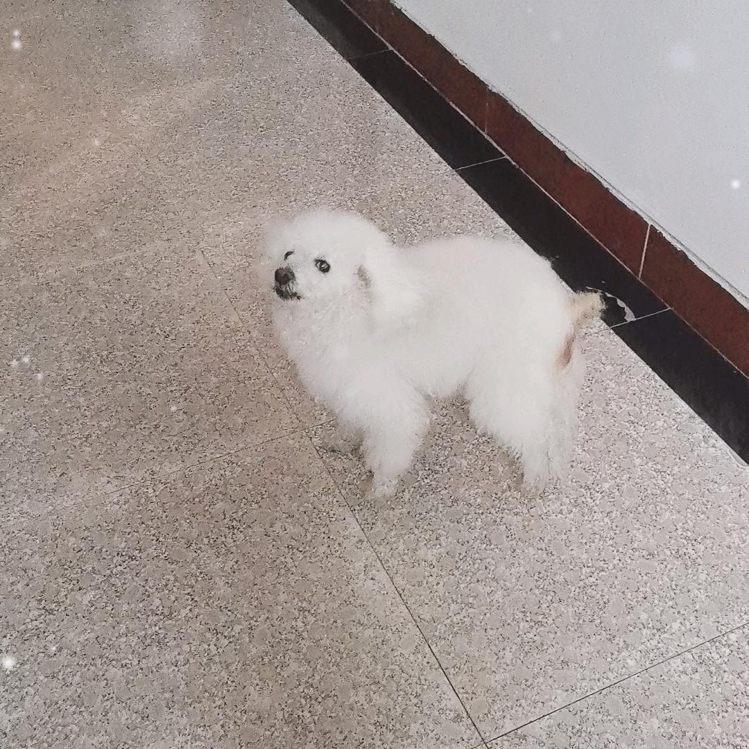 夙心