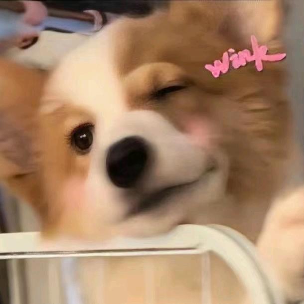 妙妙