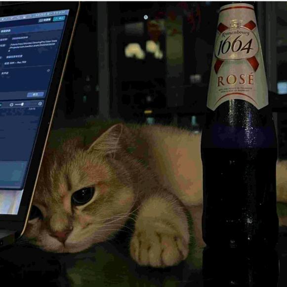 七\´•ﻌ•`安🕋🕋