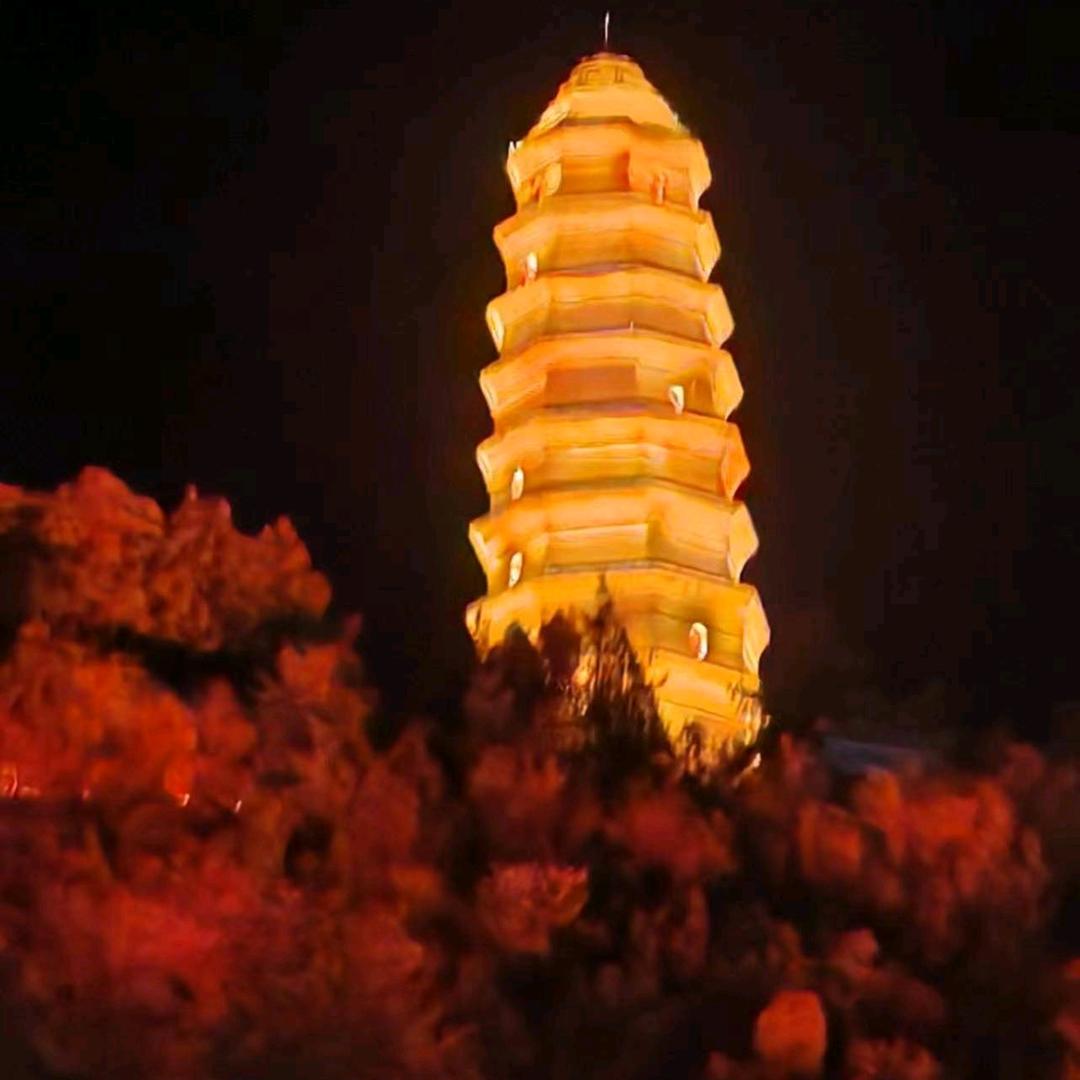 向阳光靠近