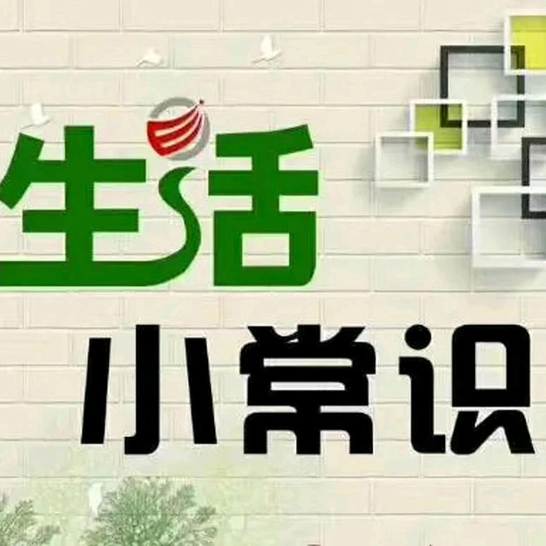 寶藏君