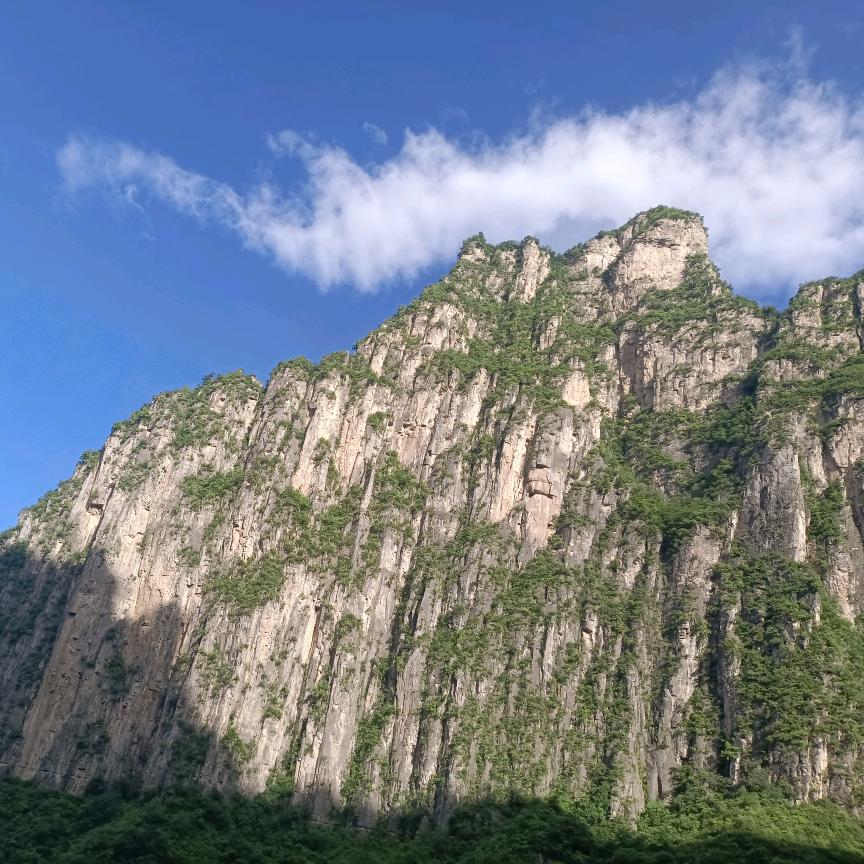 河南晨辉家具有限公司