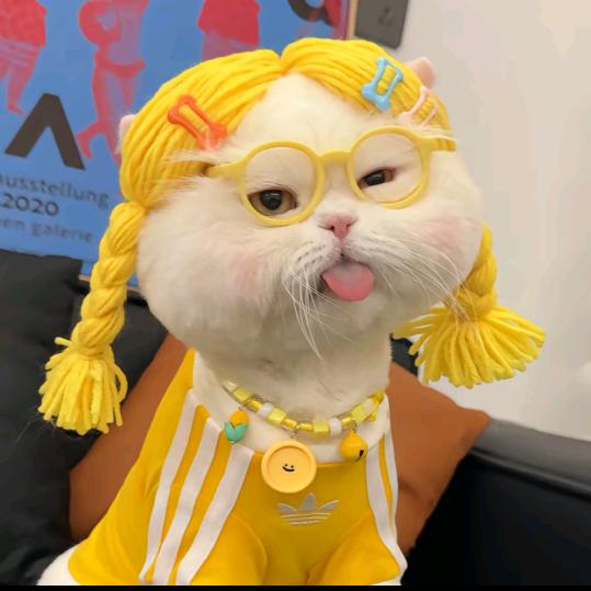 鱼软软🤔