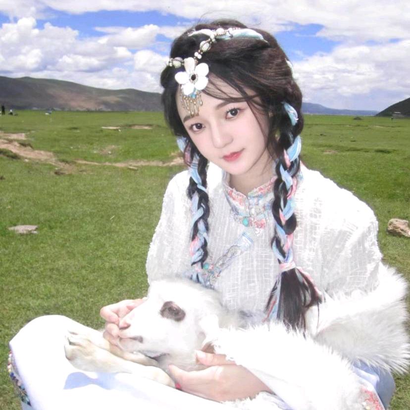 不予倾国色