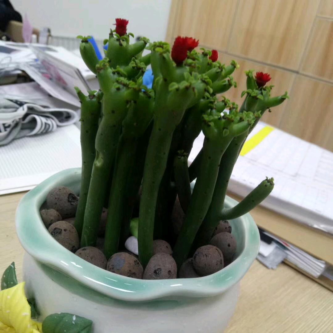 下一个晴天