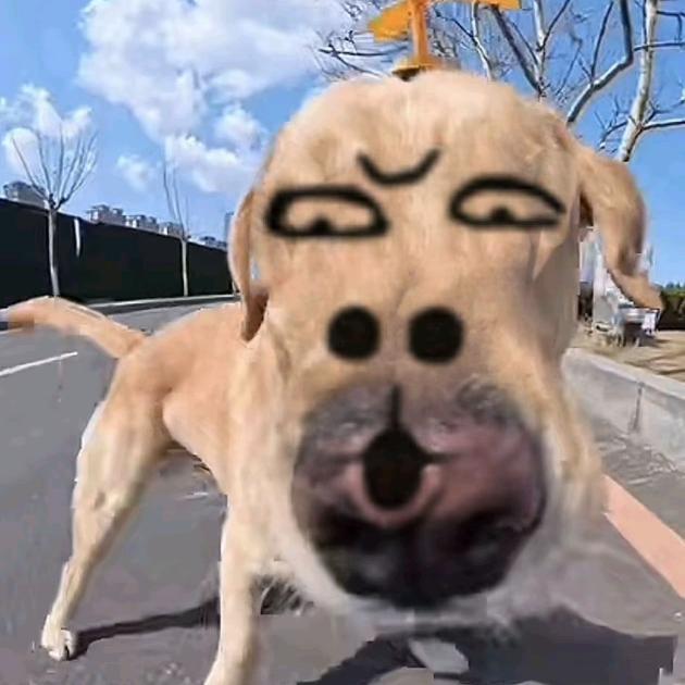 陆童