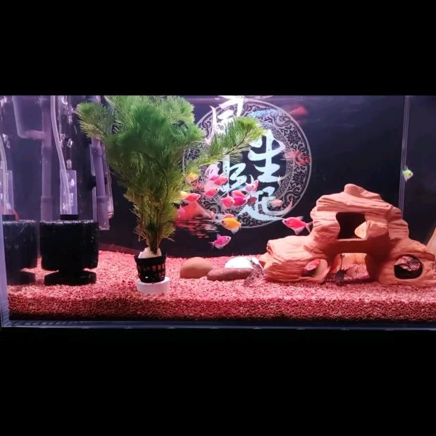 时间不停伴你永恒