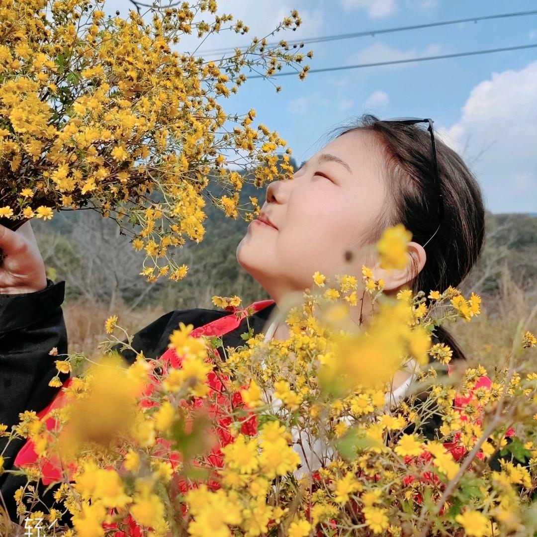 风绕天涯