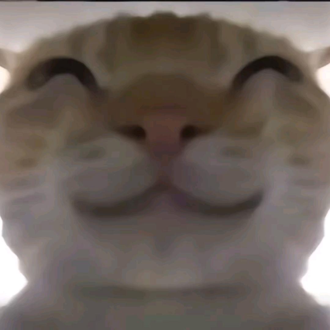 小悠不忽悠