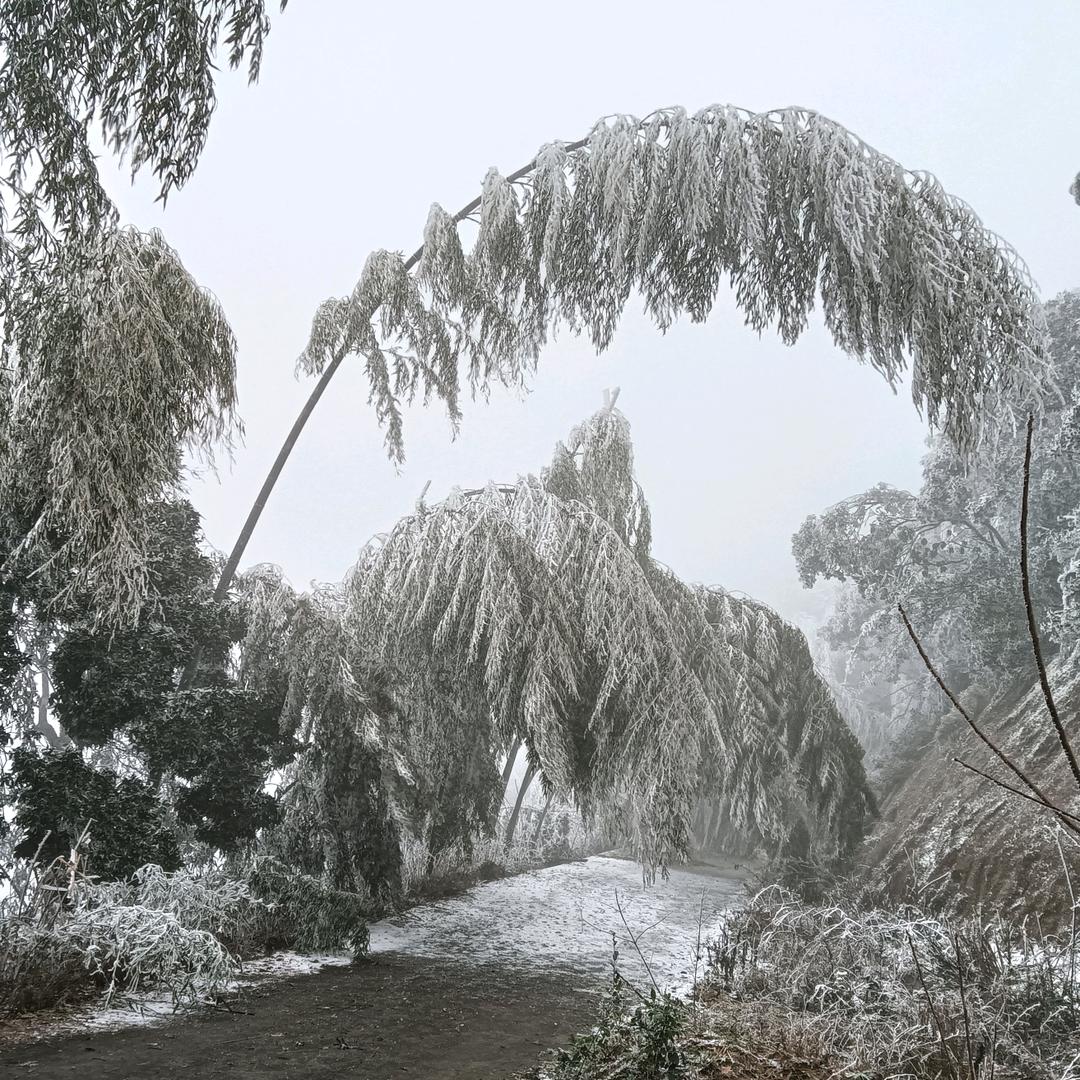 别忘了你是谁？