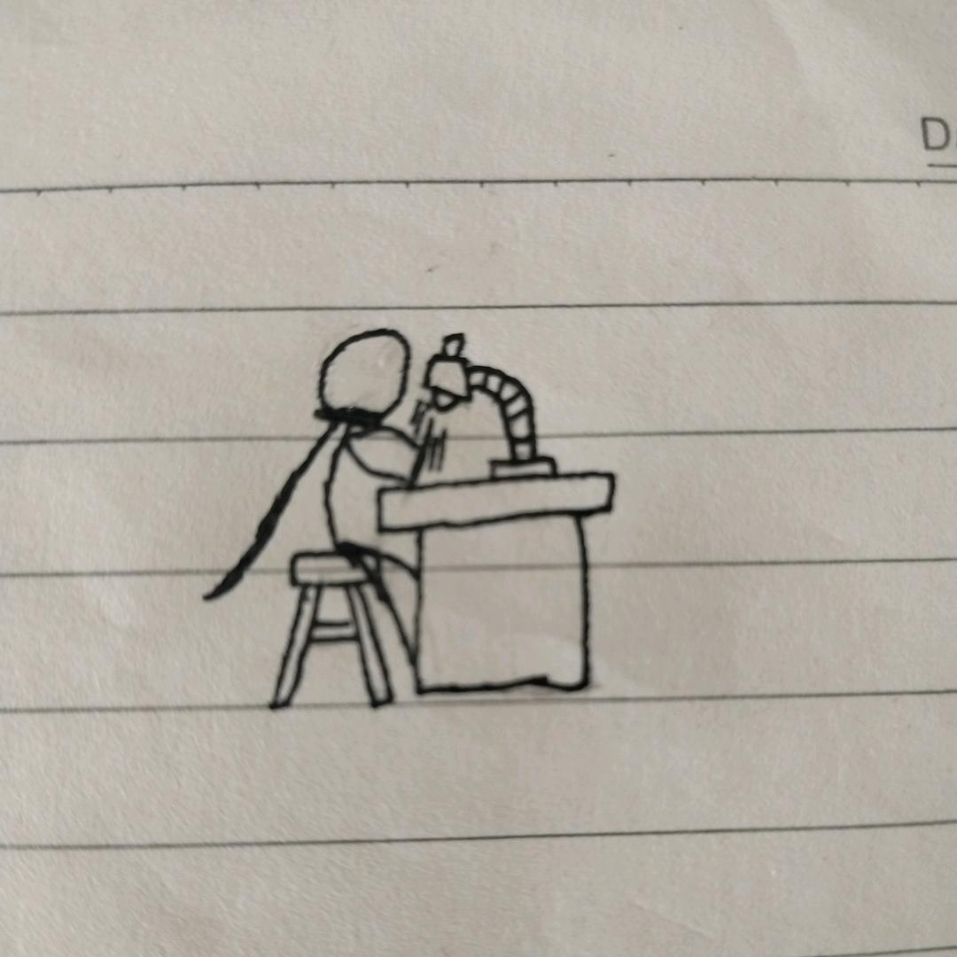 火才人（有时间更新）