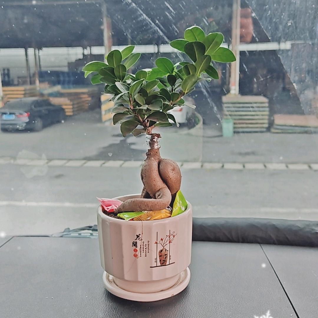 人不疯，魔不成佛？/\：！-