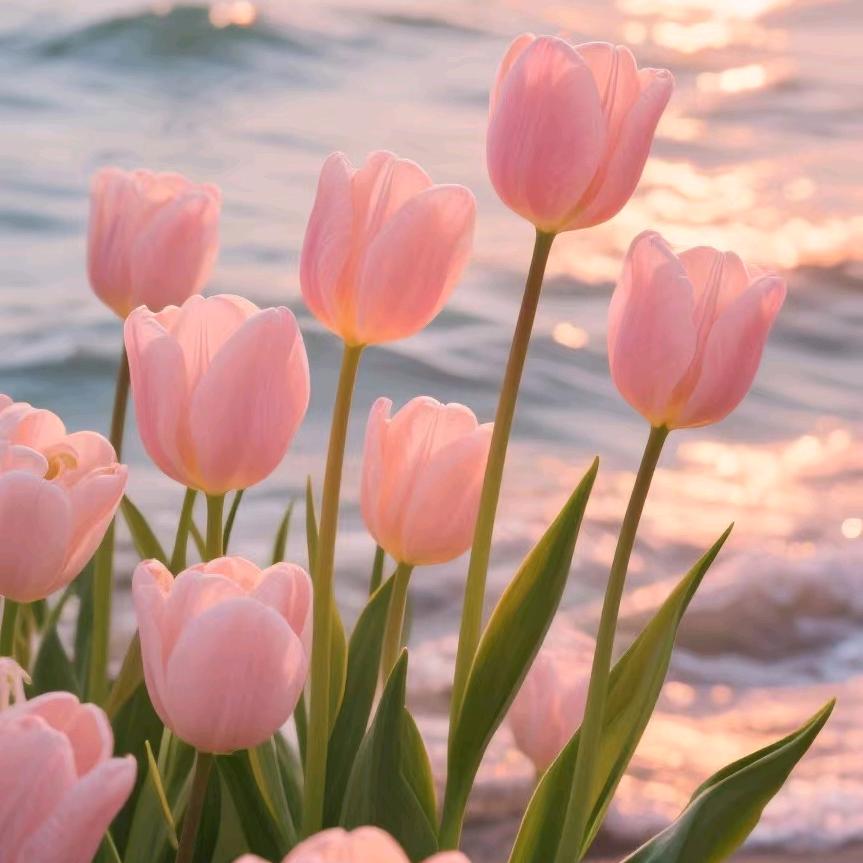 开心快乐每一天