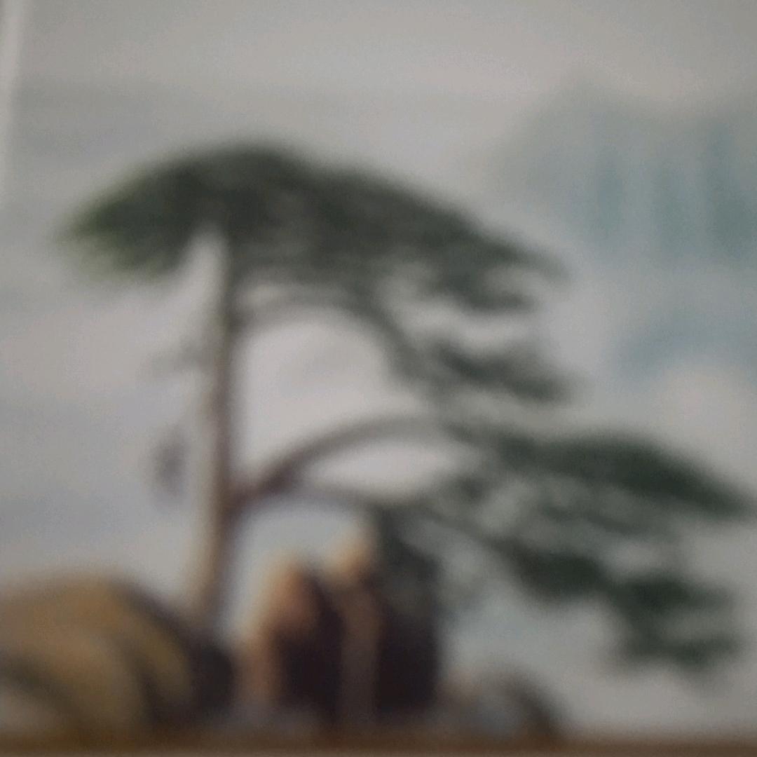 时间过的好快