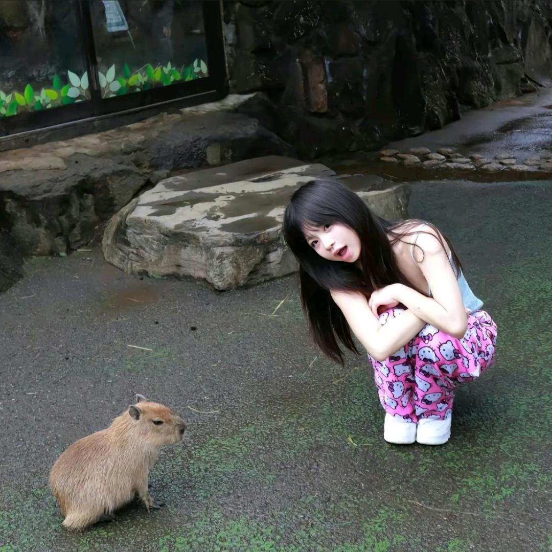 章鱼小丸子