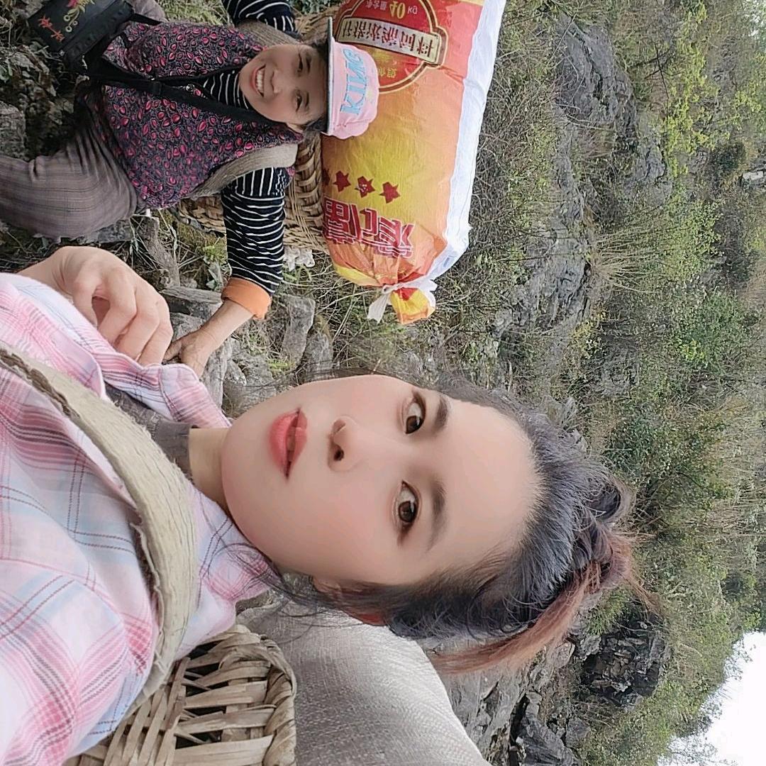 杨  梅