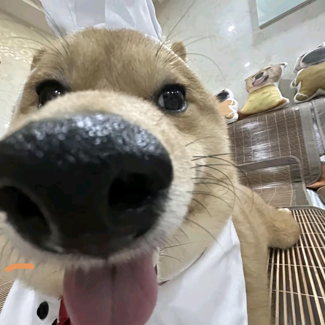 泡泡茶壶.
