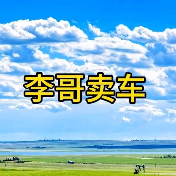 李哥雅迪