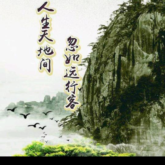 杜步🇨🇳天下