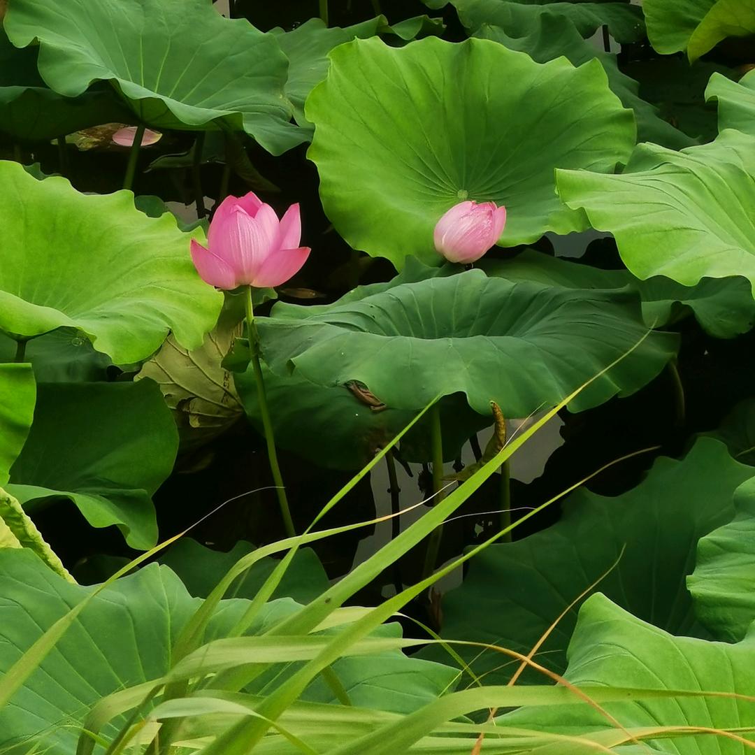 德福自来！好运常在！