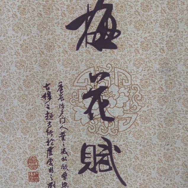 海口美兰佴若星