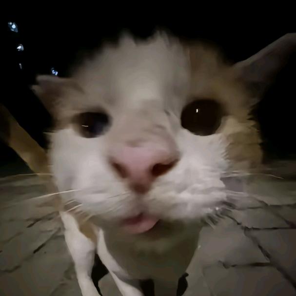 妍少