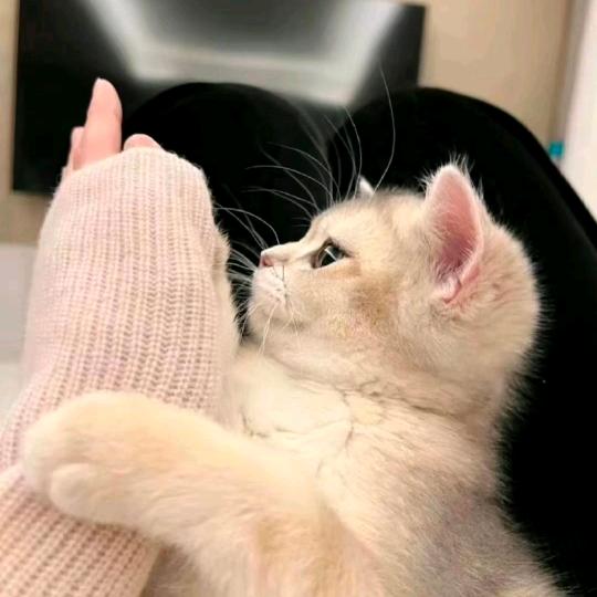 @小董