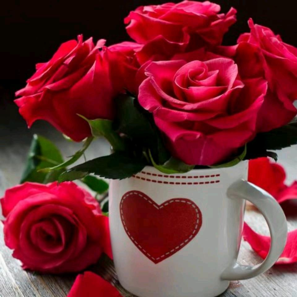 ☘️☘️青梅子🎄🎄