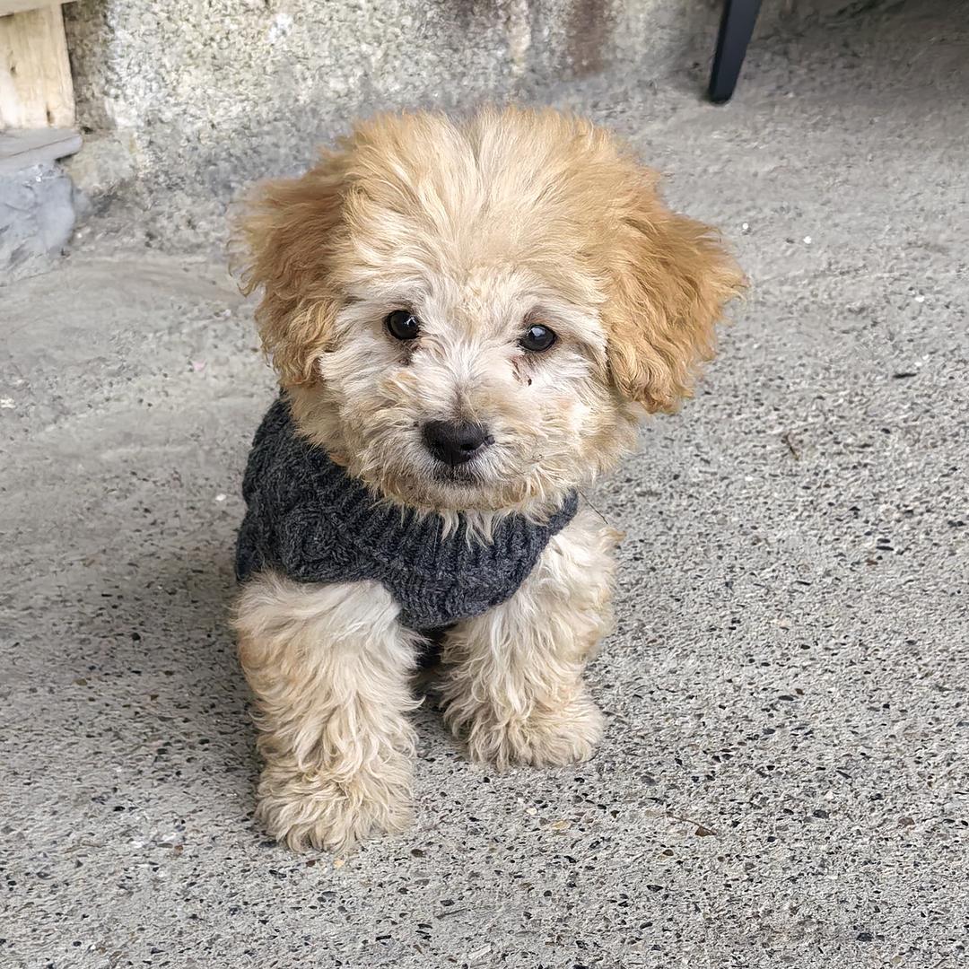 用户明天会更好