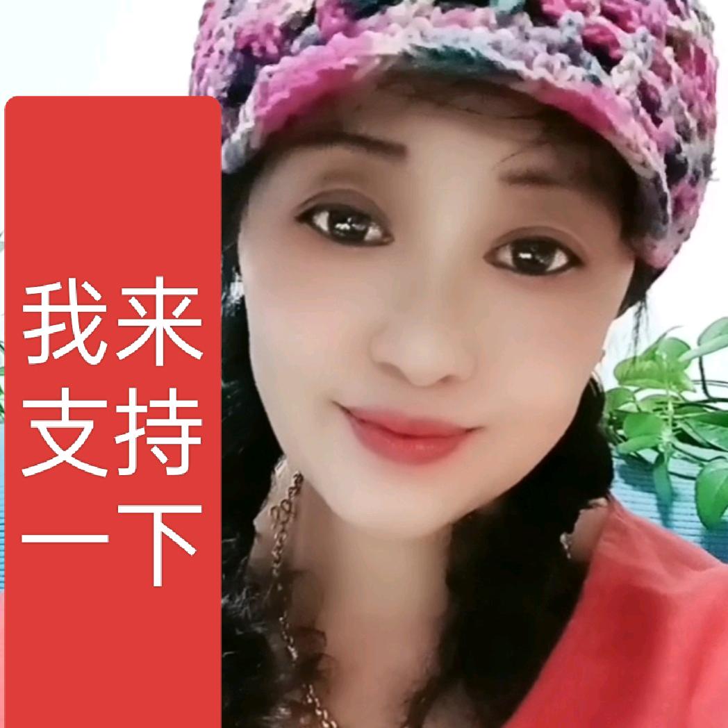 鲍禹同