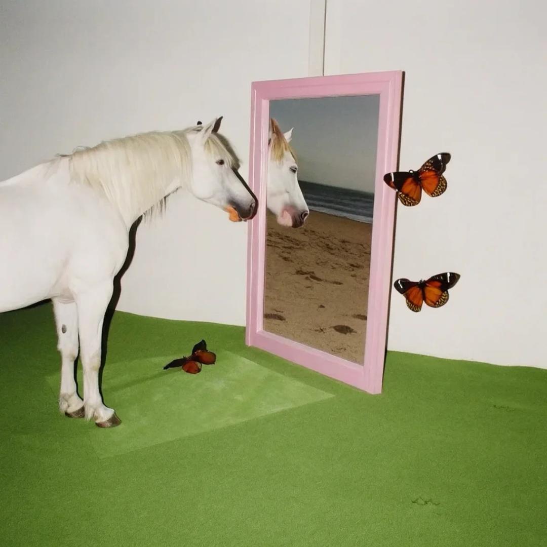 白菜🐎