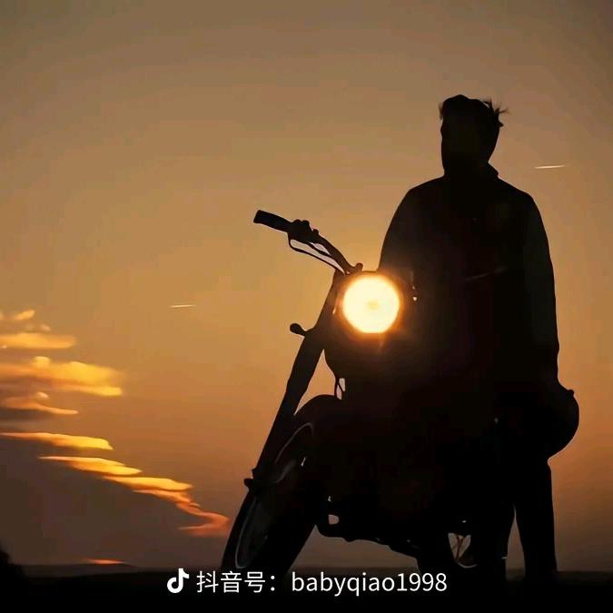我姓李从未离i