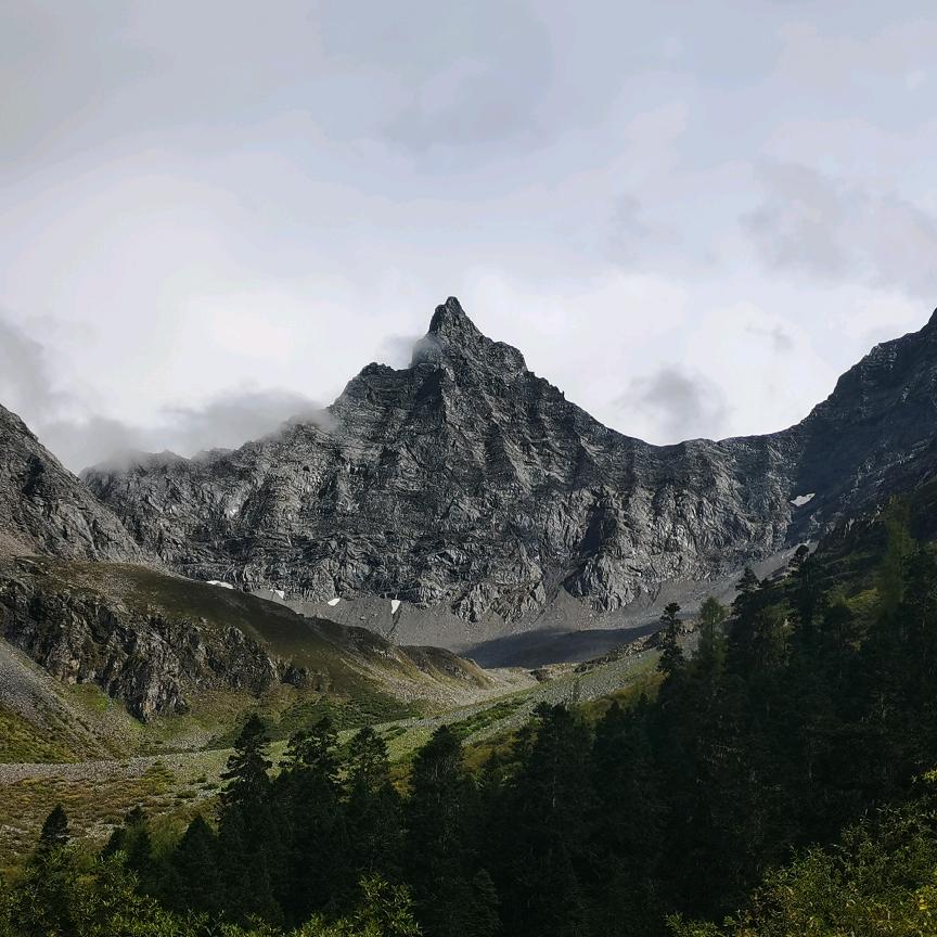 雪山向导（山鹰）