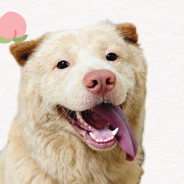 🌈🌈🌈开心就好