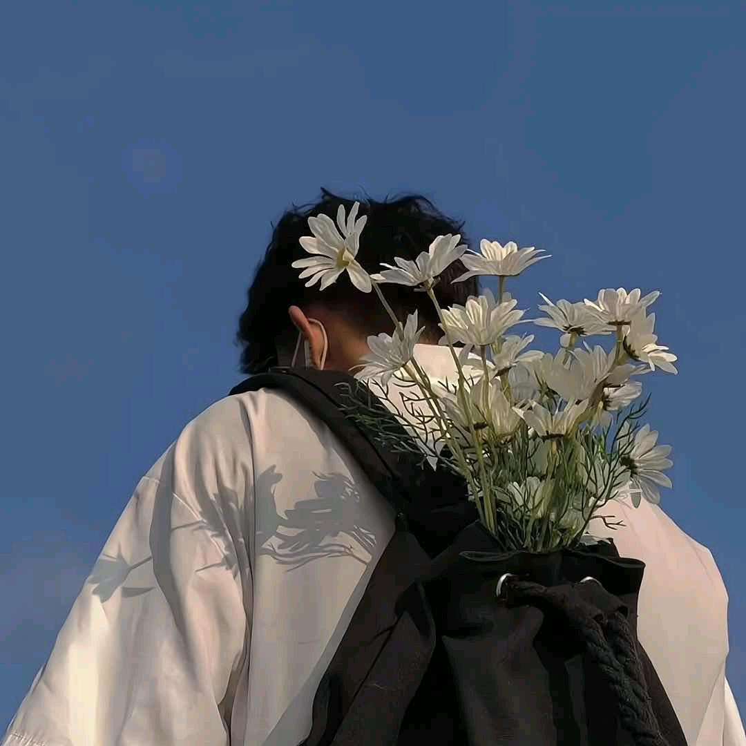 ⋆͛🦖⋆͛怪兽打奥特曼