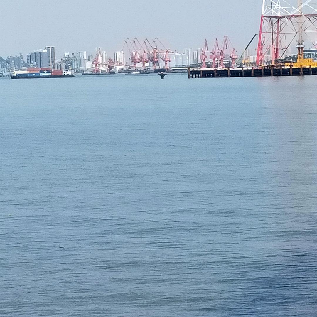 靜静