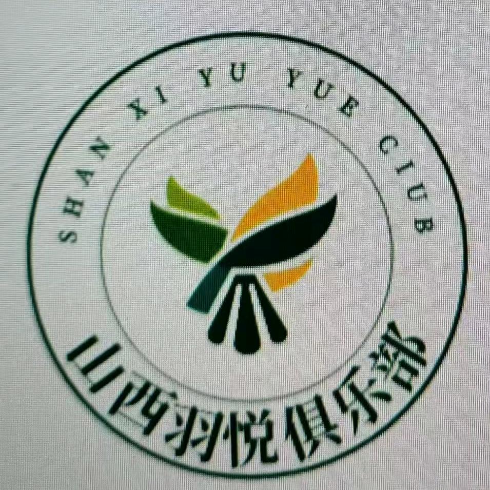 山西羽悦羽毛球
