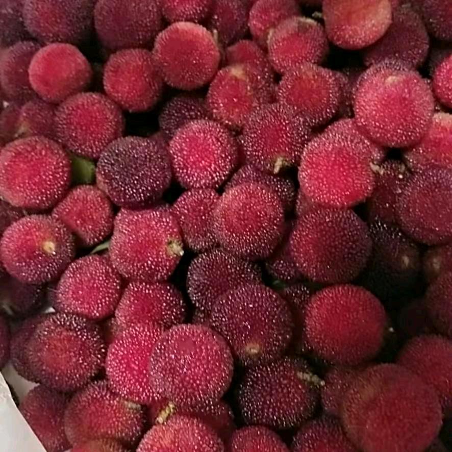 最美滴回忆💕让世界遇见你