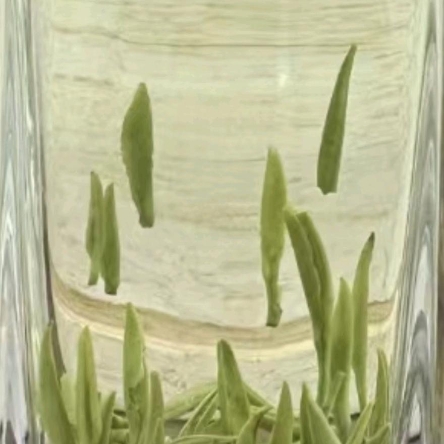 百转千回一壶茶