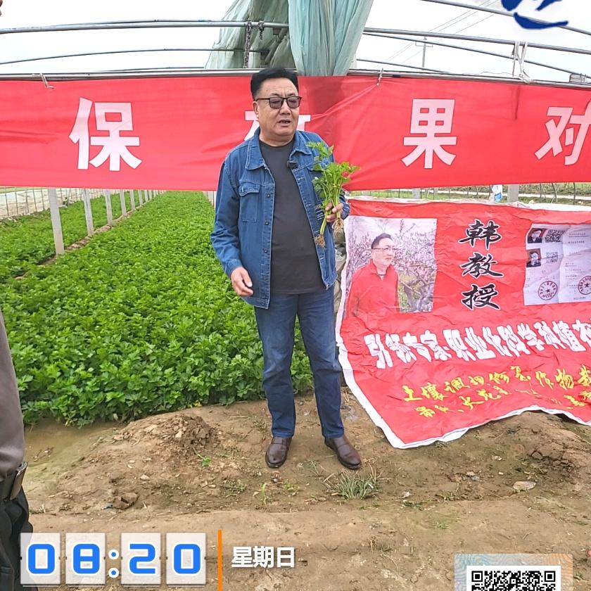 觉知，
