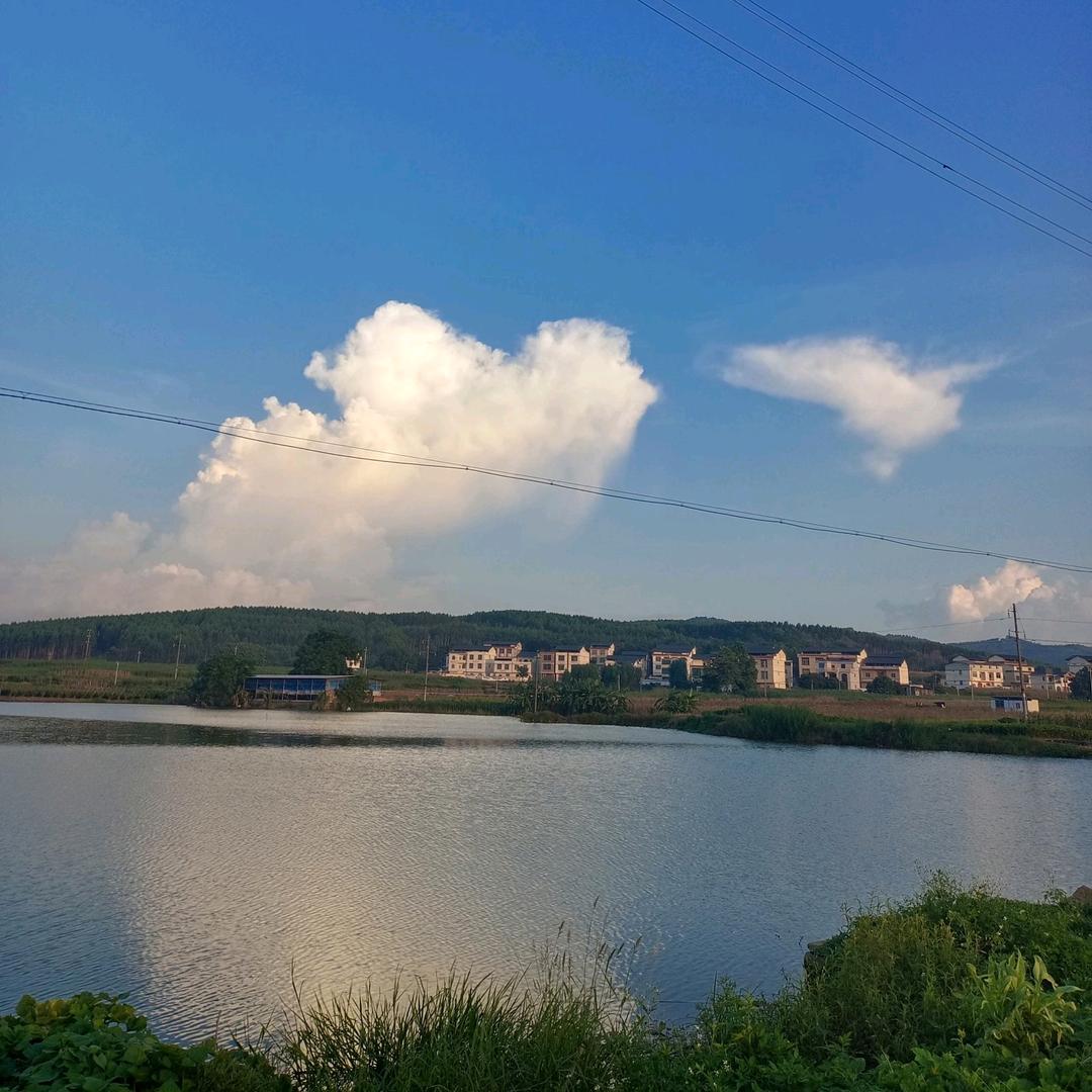 韦来可期 ☆