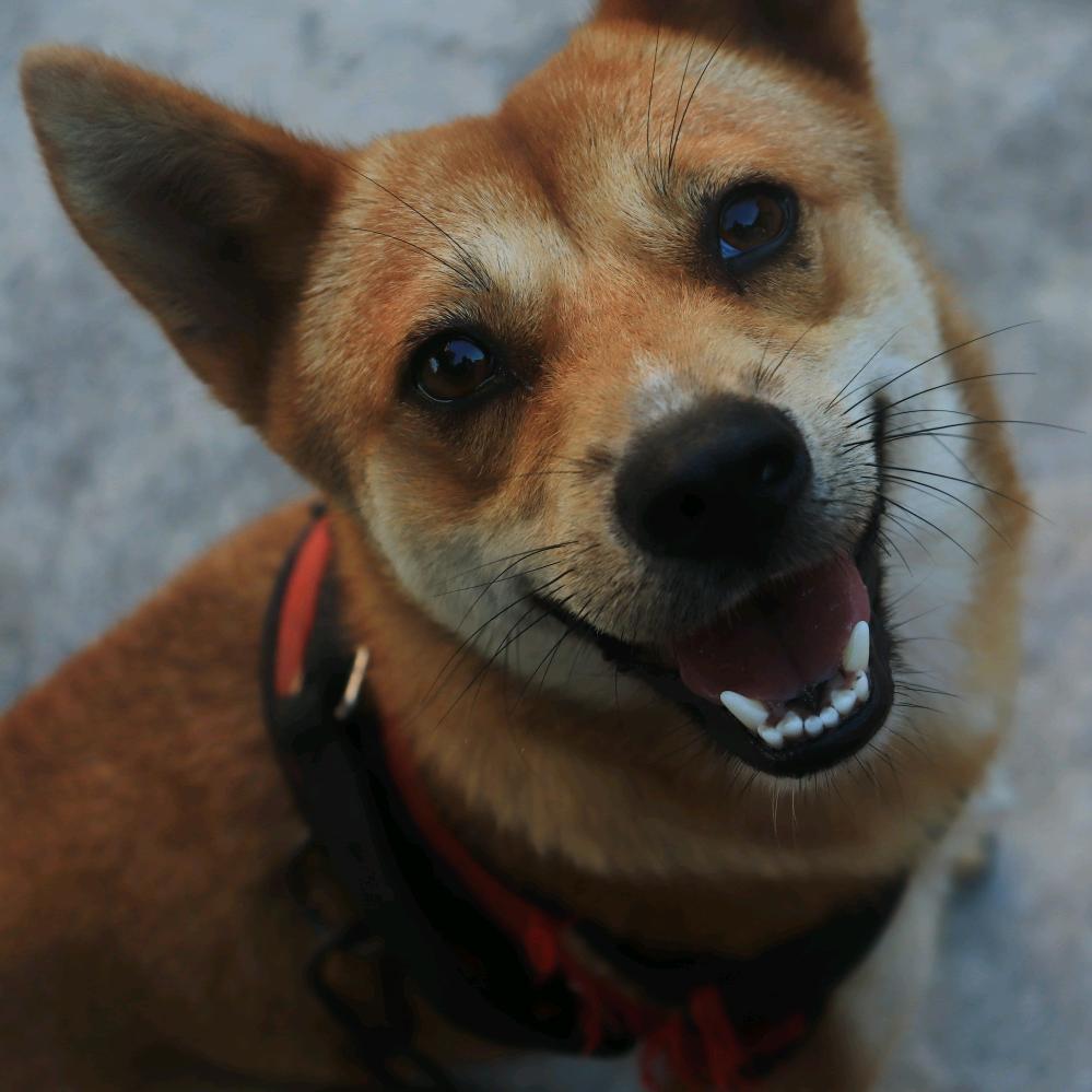 起风了（寻25号底片）