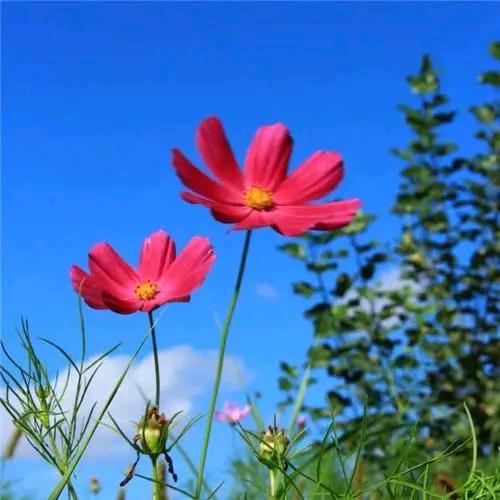 😀开心快乐😀