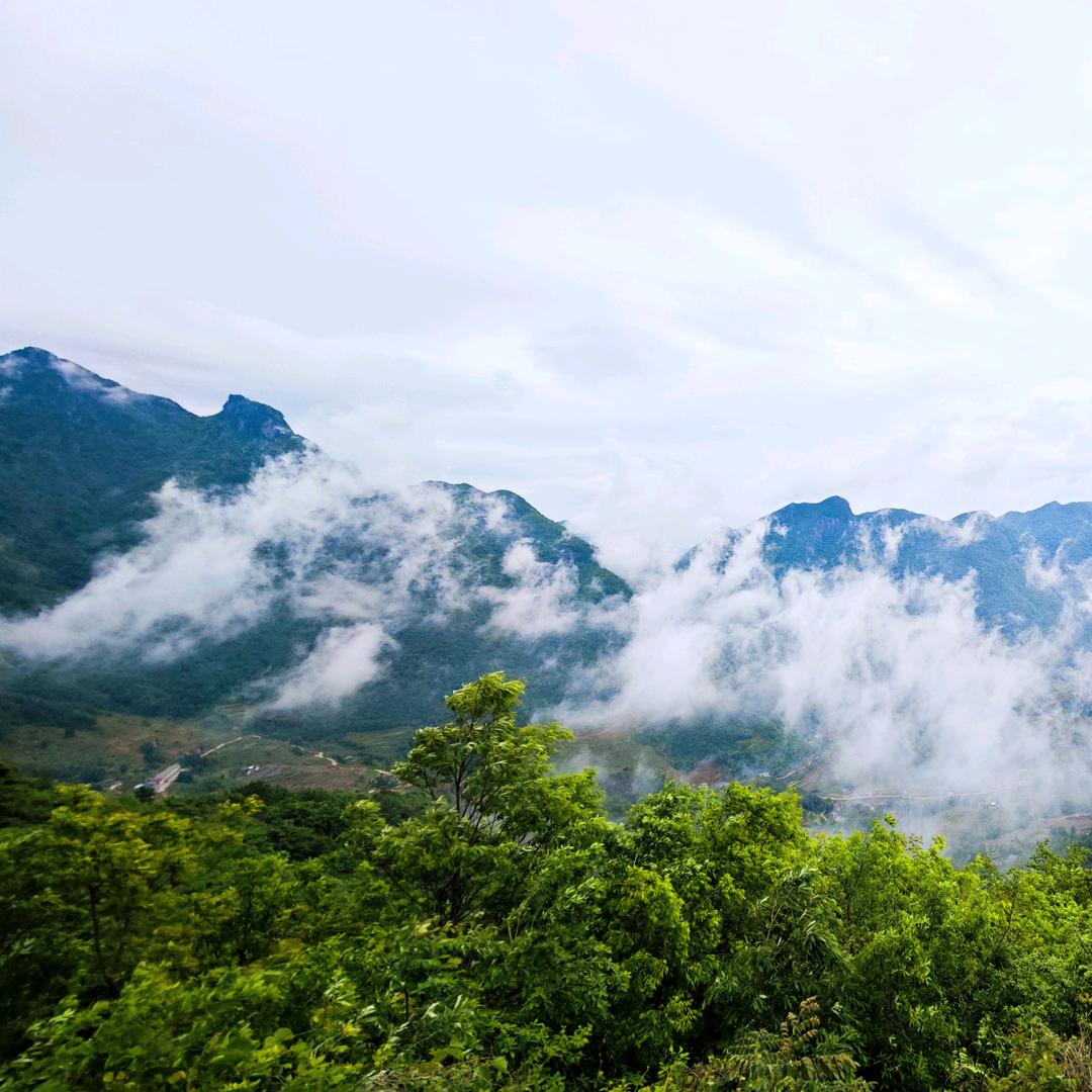 球球，挠它