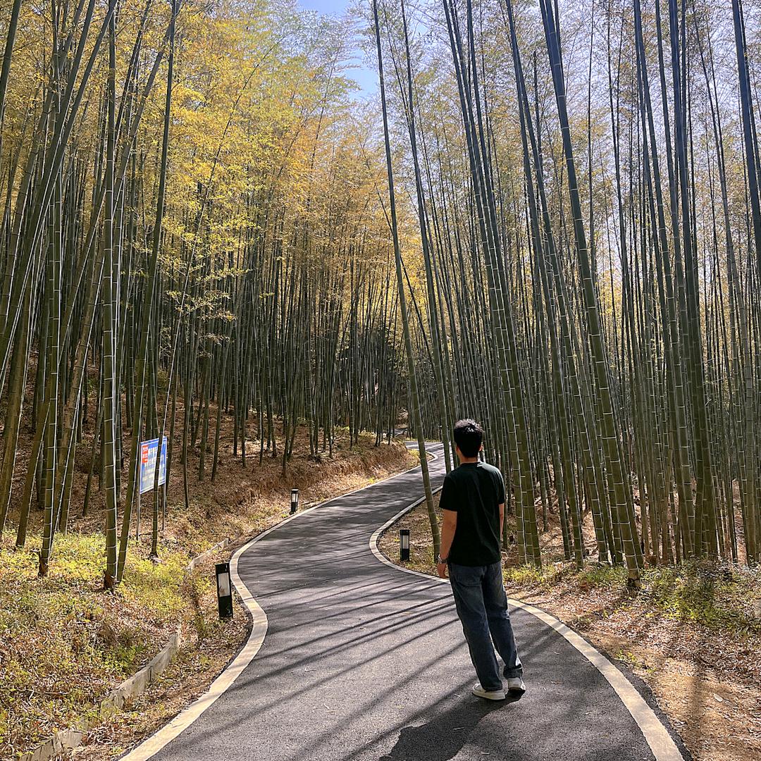 Peng  Hui
