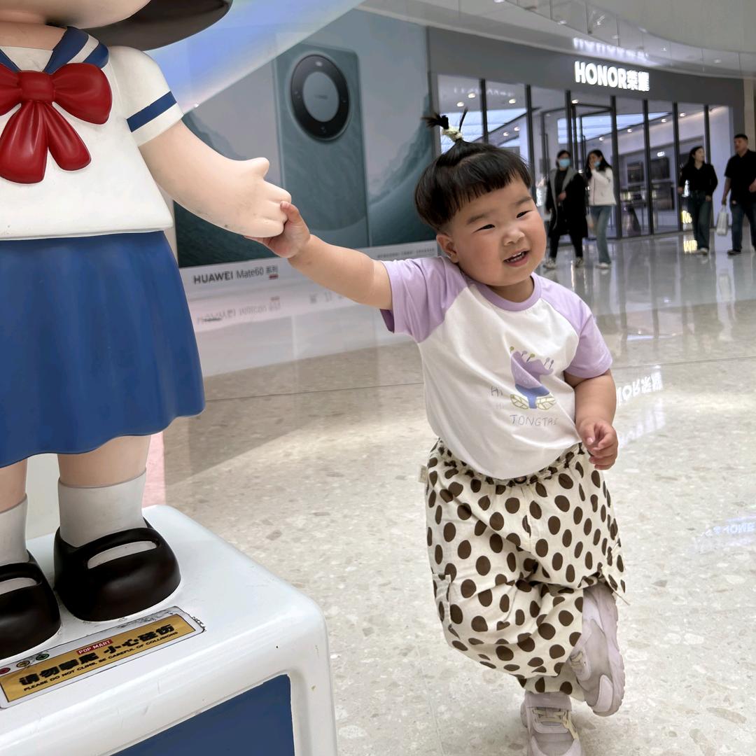 随风飞