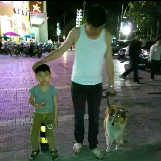 林中有条小路
