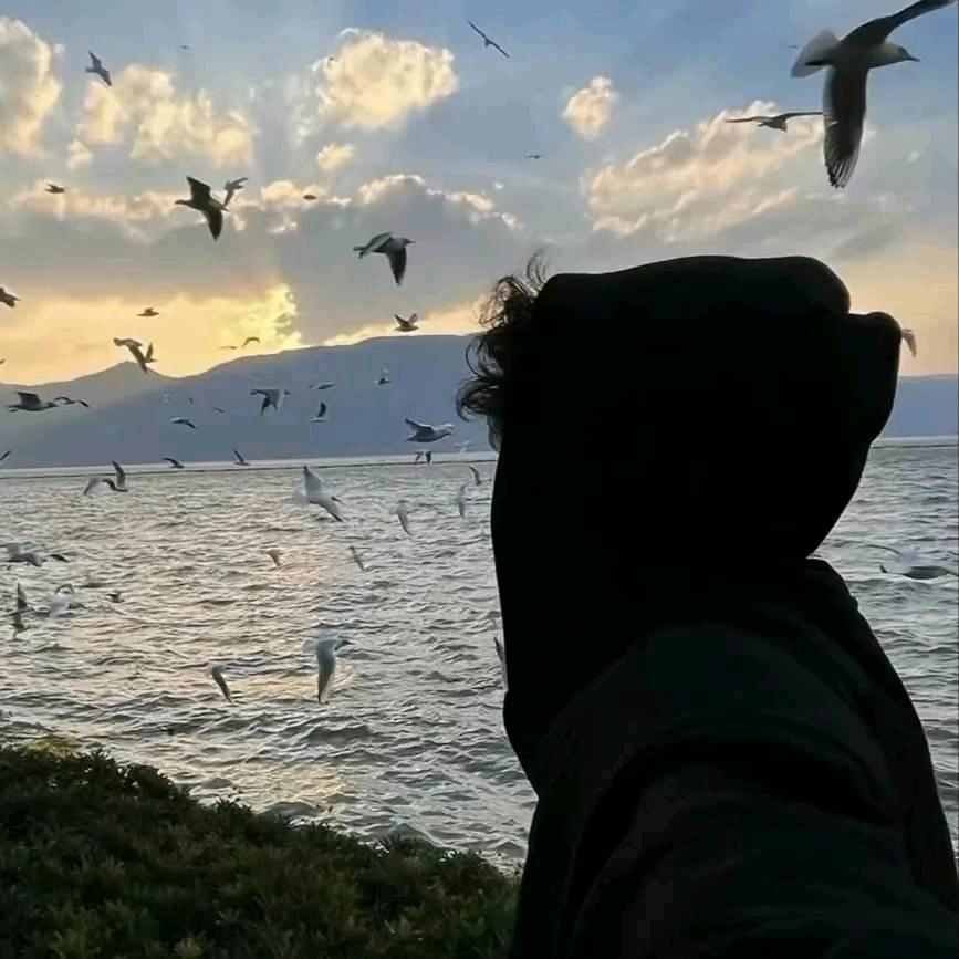 海岸边
