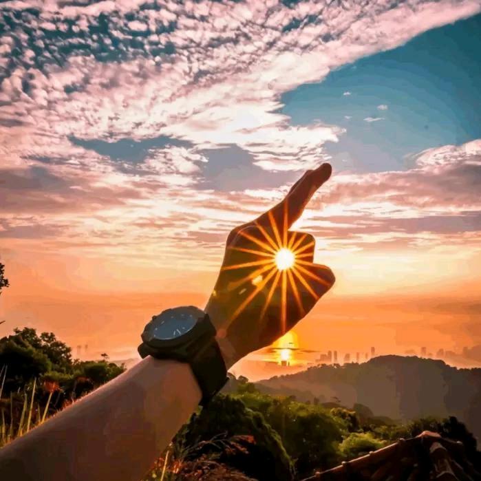 晨龙水产活鱼☞金源市场店